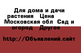 Для дома и дачи-растения › Цена ­ 150 - Московская обл. Сад и огород » Другое   